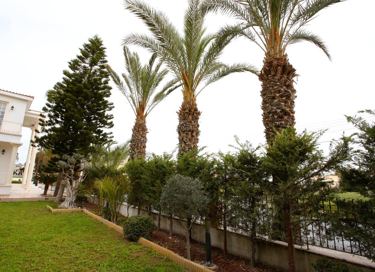 The White House Villa Larnaca Exterior photo